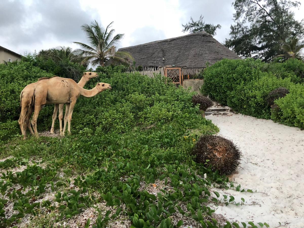 Sunset Beach Resort Watamu Ngoại thất bức ảnh